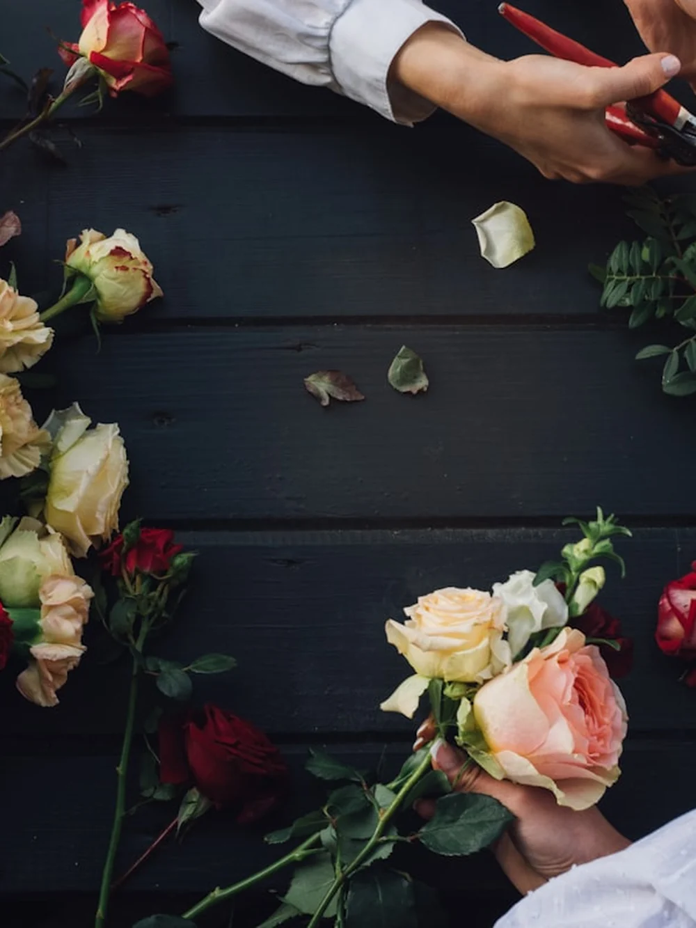 Tangan florist menyusun mawar merah dan krem di meja kerja